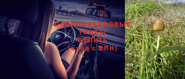 метадон Алексин