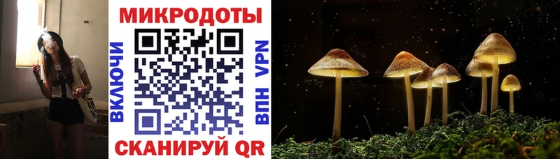 даркнет состав  Сухой Лог  Псилоцибиновые грибы прущие грибы 